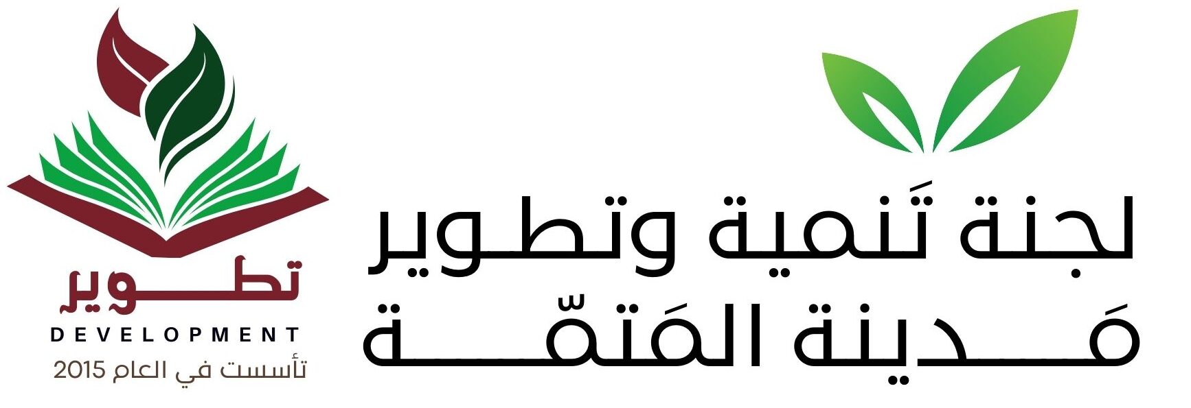 لجنة تنمية و تطوير مدينة المتمة